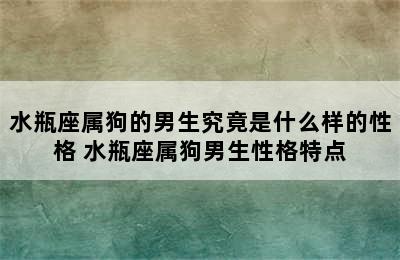 水瓶座属狗的男生究竟是什么样的性格 水瓶座属狗男生性格特点